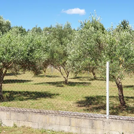 Et Piscine L'ecrin Aux Oliviers En Cevennes * Saint-Christol-les-Ales