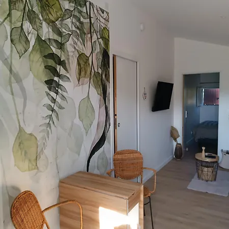 公寓 Et Piscine L'ecrin Aux Oliviers En Cevennes *