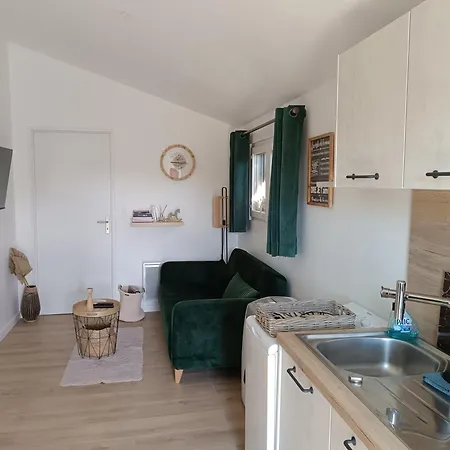 Daire Et Piscine L'ecrin Aux Oliviers En Cevennes