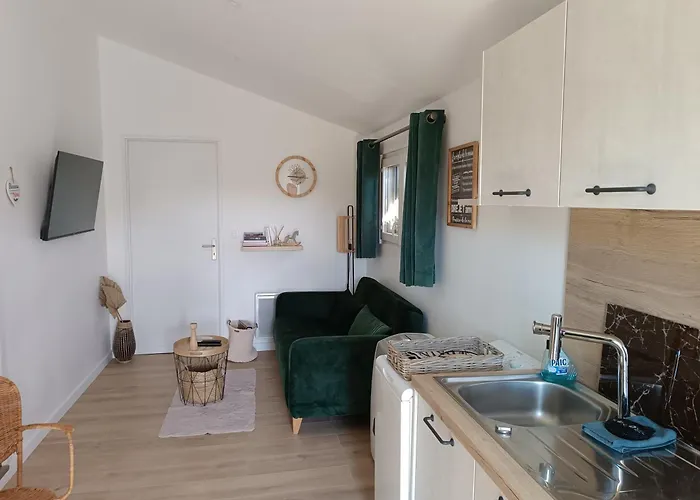 Appartement Et Piscine L'écrin Aux Oliviers En Cévennes